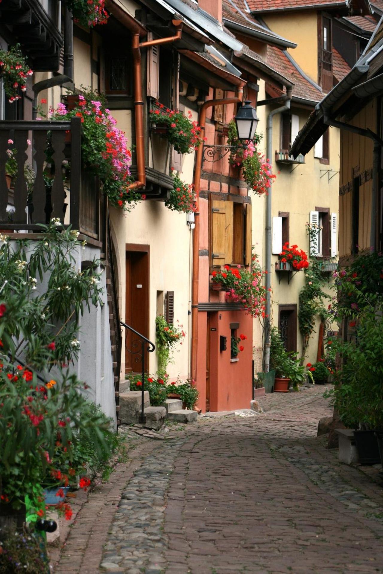Gite Traditionnel Au Centre Historique D'Eguisheim Eksteriør billede